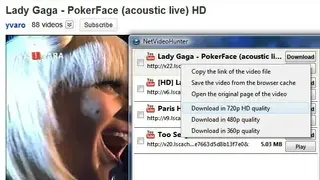 NetVideoHunter screenshot