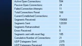 Network Activity Indicator screenshot
