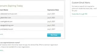 NetworkSolutions Expiring Domains screenshot