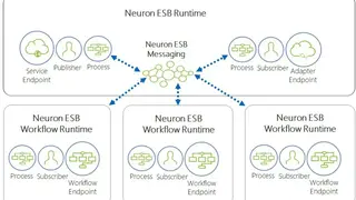 Neuron ESB screenshot