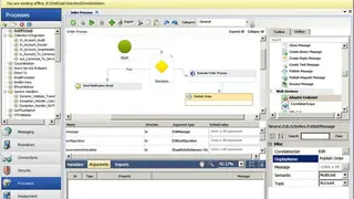 Neuron ESB screenshot