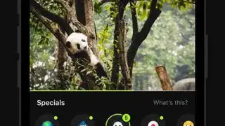 Neverthink TV screenshot
