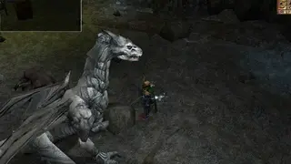 Neverwinter Nights Diamond screenshot