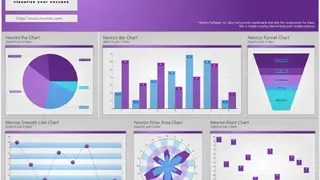 Nevron Software screenshot