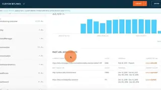 New Bitly screenshot