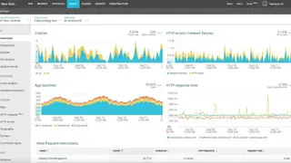 New Relic screenshot