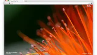 New Tab by Flickr screenshot