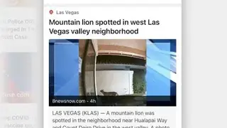 News Break screenshot