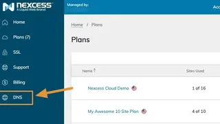 Nexcess Global DNS Checker screenshot
