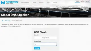 Nexcess Global DNS Checker screenshot