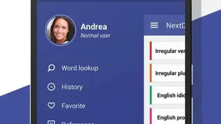 NextDict Dictionary screenshot