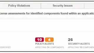 Nexus Vulnerability Scanner screenshot