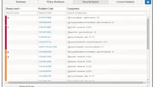 Nexus Vulnerability Scanner screenshot