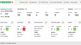 NGINX Plus screenshot