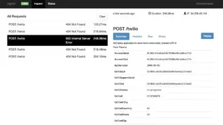 Ngrok screenshot