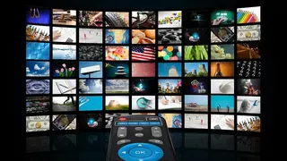 Niche Video Media screenshot