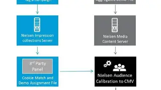 Nielsen Digital Ads Ratings screenshot
