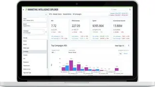 Nielsen Visual IQ screenshot