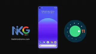 NikGApps screenshot