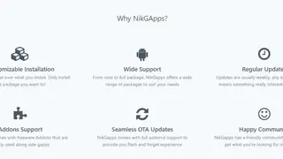 NikGApps screenshot