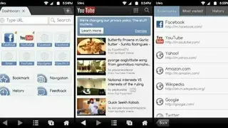 Ninesky Browser screenshot