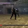 Ninja Gaiden (2004)