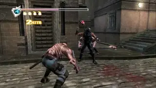Ninja Gaiden (2004) screenshot