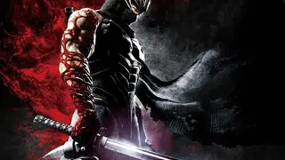 Ninja Gaiden 3 screenshot