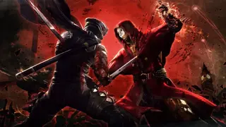 Ninja Gaiden 3 screenshot