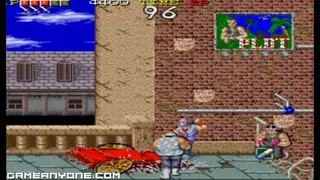 Ninja Gaiden screenshot