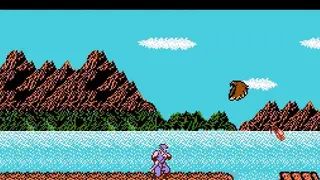 Ninja Gaiden screenshot