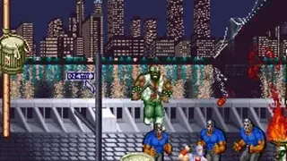 Ninja Gaiden screenshot