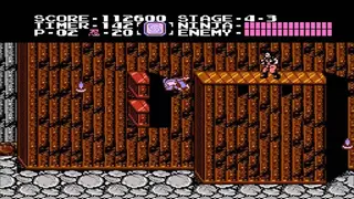 Ninja Gaiden screenshot