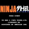 Ninja Gaiden