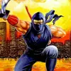 Ninja Gaiden Shadow