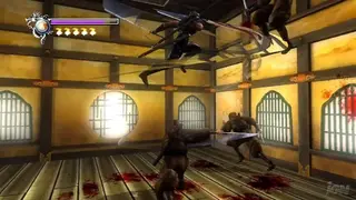Ninja Gaiden Sigma screenshot