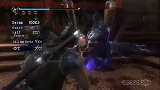 Ninja Gaiden Sigma screenshot