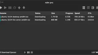 Ninja Internet Download Manager screenshot