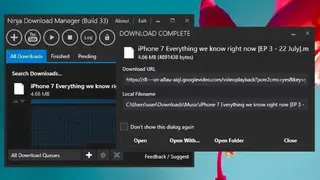 Ninja Internet Download Manager screenshot