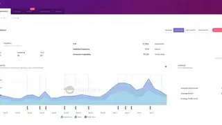 Ninjalitics screenshot