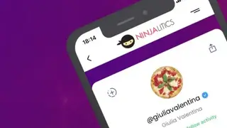 Ninjalitics screenshot