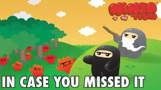 Ninjatown screenshot