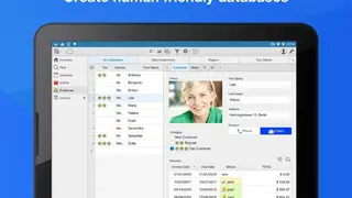 Ninox DB screenshot