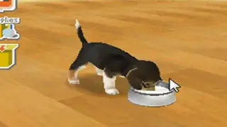 Nintendogs screenshot