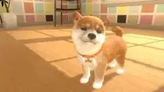 Nintendogs screenshot