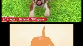 Nintendogs + Cats screenshot