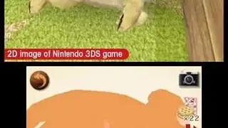 Nintendogs + Cats screenshot