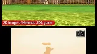 Nintendogs + Cats screenshot