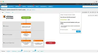 Nintex Promapp screenshot