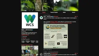 Nitter screenshot